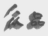 众品
