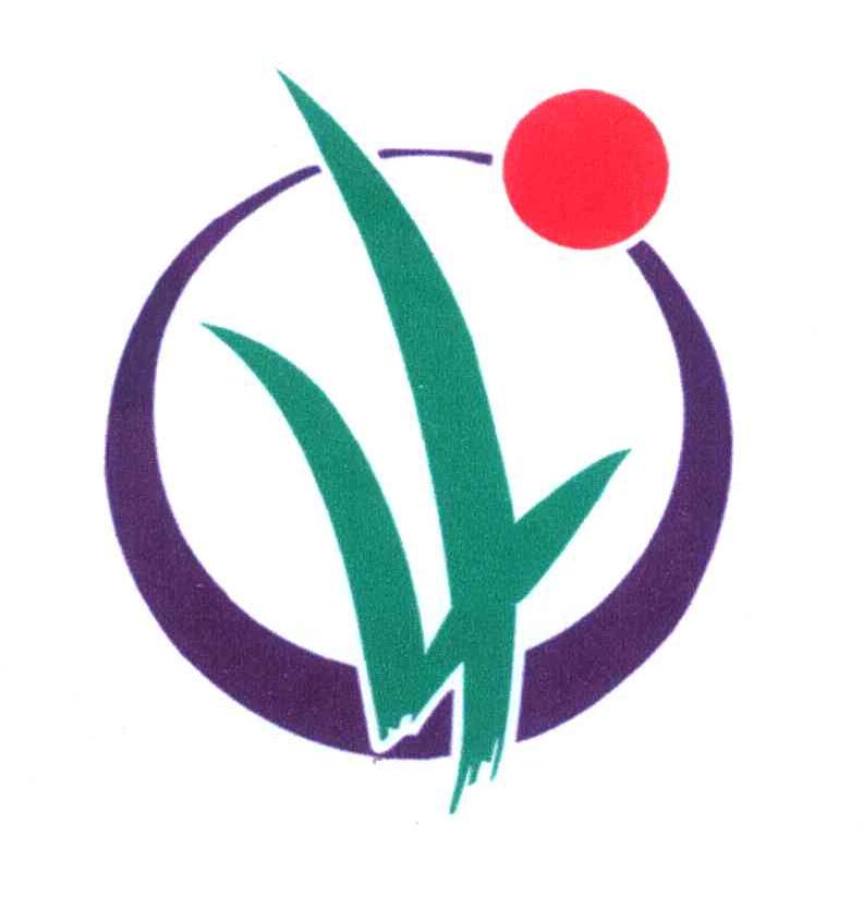 图形