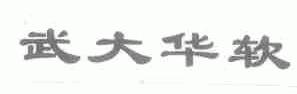 武大华软