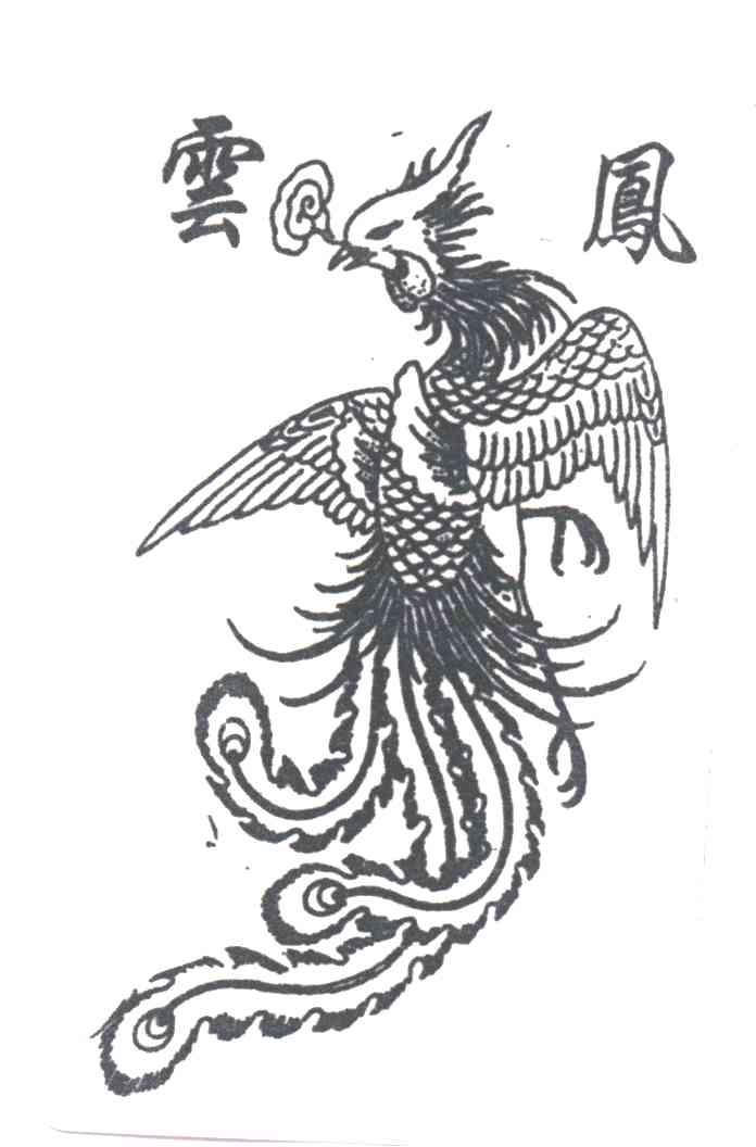 云凤