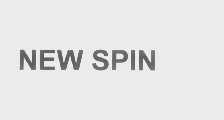 NEW SPIN