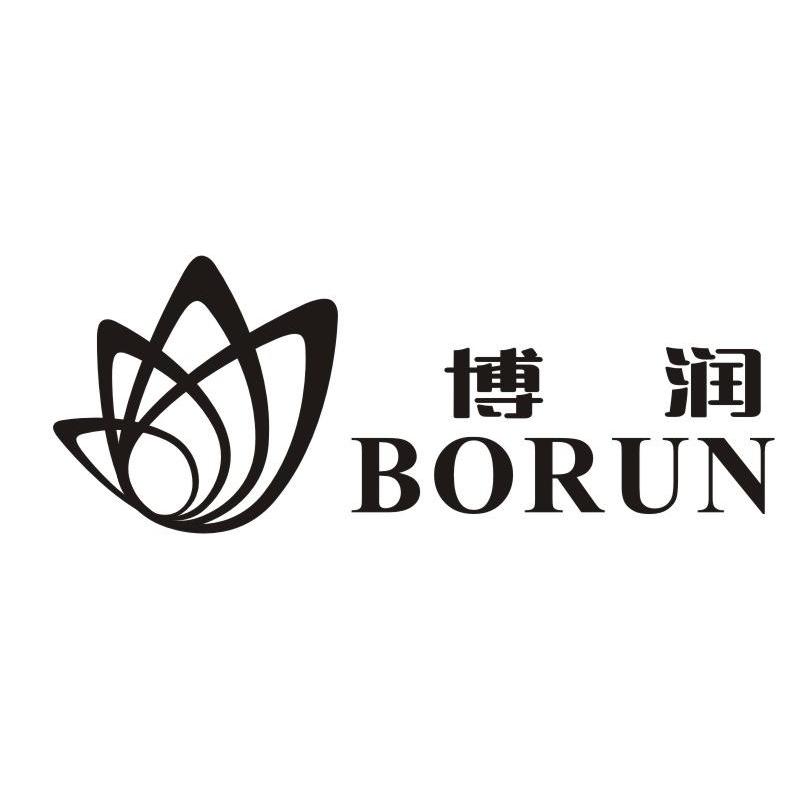 博润