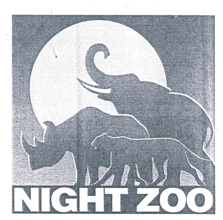 NIGHT ZOO