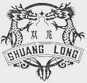 双龙