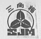 三角梅