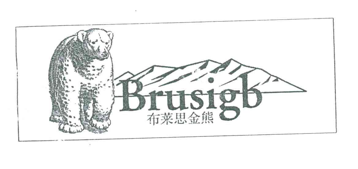 布莱思金熊BRUSIGB及图