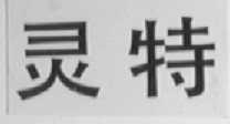 灵特