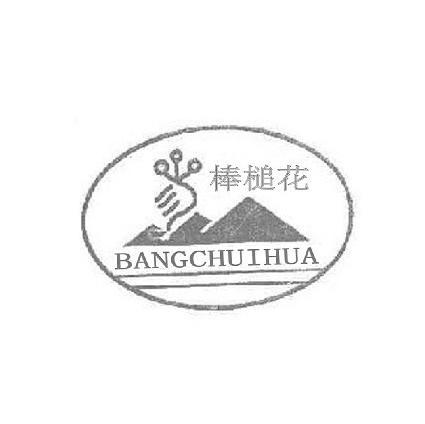 棒槌花