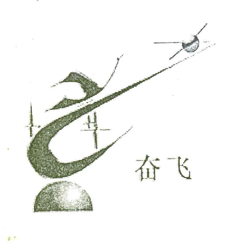 奋飞