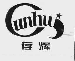 存辉