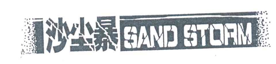 沙尘暴;SAND STORM