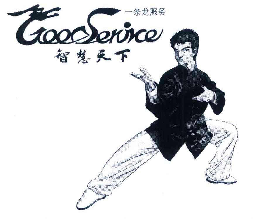 一条龙服务 智慧天下 GOOSERVICE