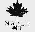 枫叶;MAPLE