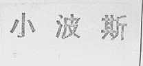 小波斯