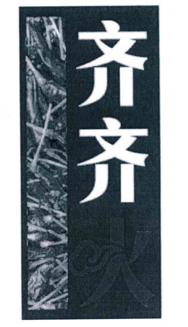 齐齐