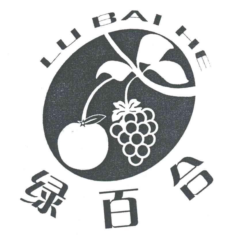 绿百合