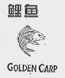 鲤鱼;GOLDEN CARP