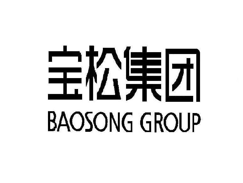 宝松集团 BAOSONG GROUP