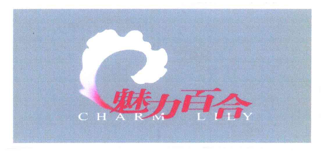 魅力百合 CHARM LILY