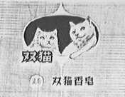 双猫