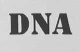 DNA