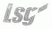 LSG