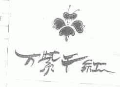 万紫千红
