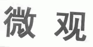 微观