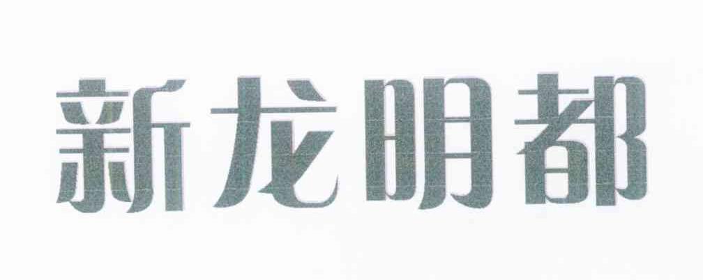 新龙明都