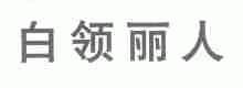 白领丽人