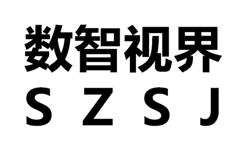 数智视界  SZSJ