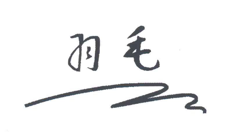 羽毛