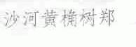 沙河黄桷树郑