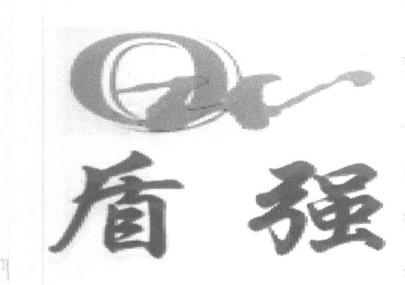 盾强 OW