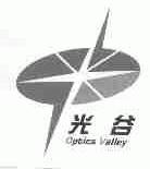 光谷;OPTICS VALLEY