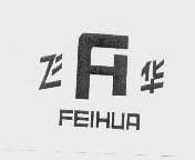 飞华