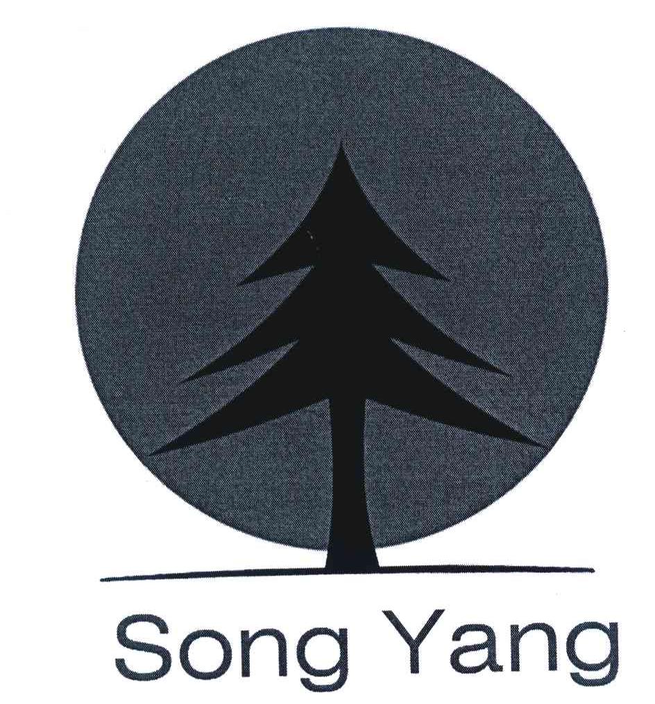 SONG YANG