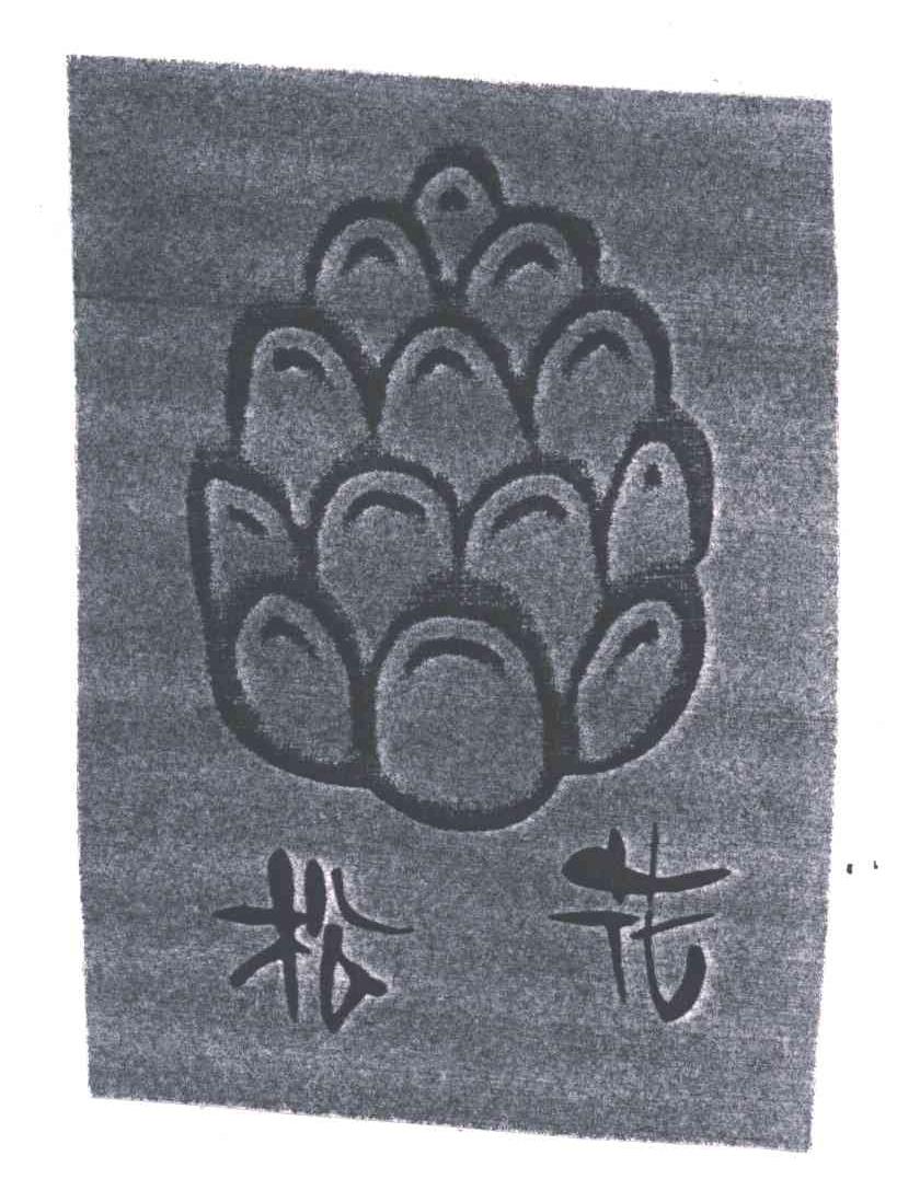 松花