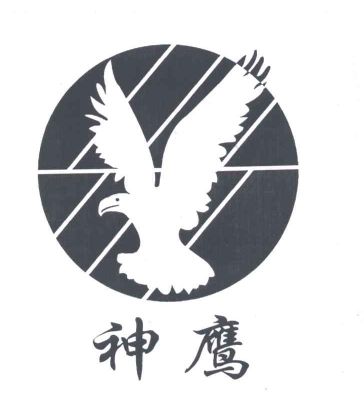 神鹰
