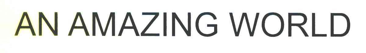 AN AMAZING WORLD