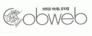 蜘蛛网;COBWEB