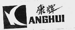 康辉