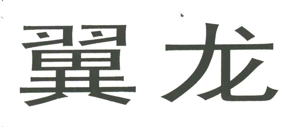 翼龙