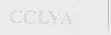 CCLYA