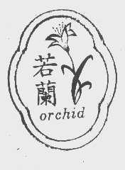 若兰   ORCHID