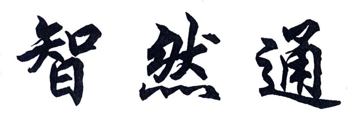 智然通