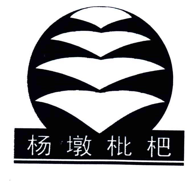 杨墩枇杷