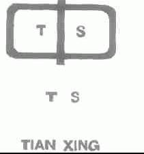 TIAN XING