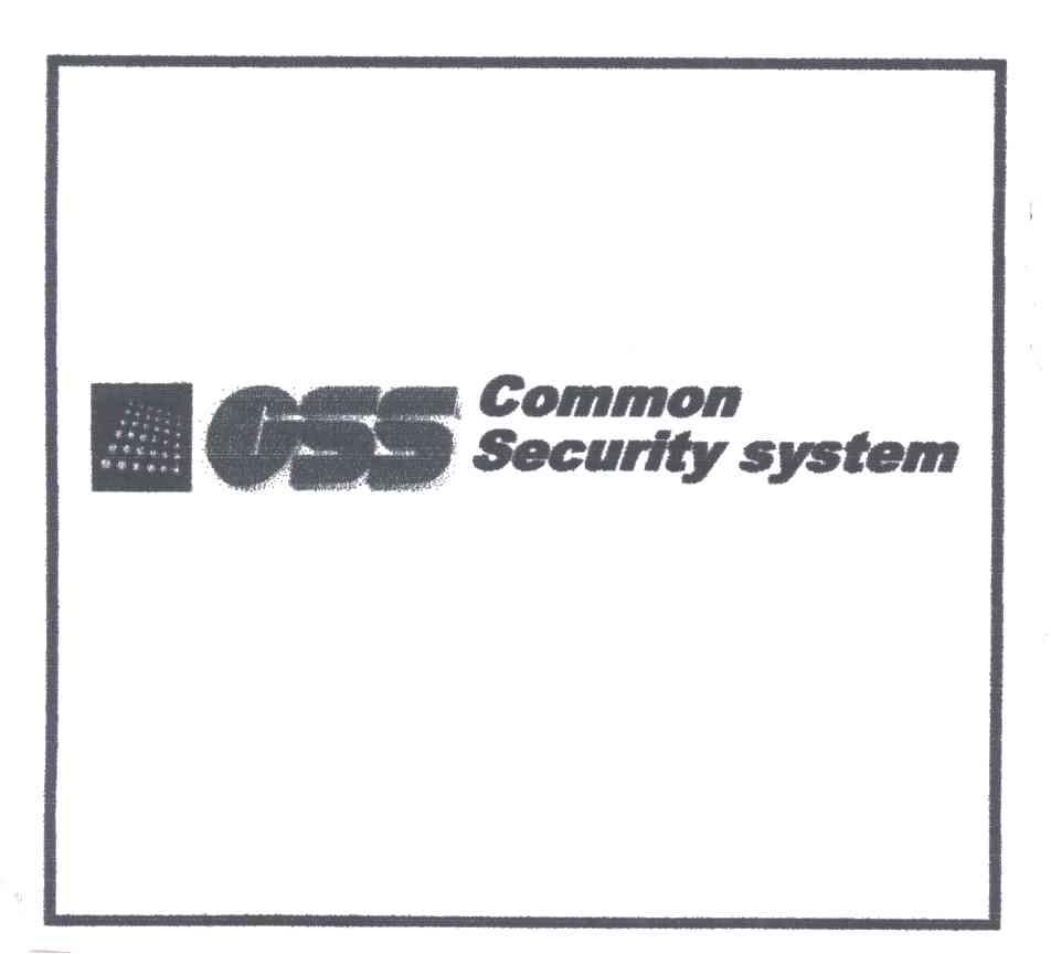 CSS;COMMON SECURITY SYSTEM