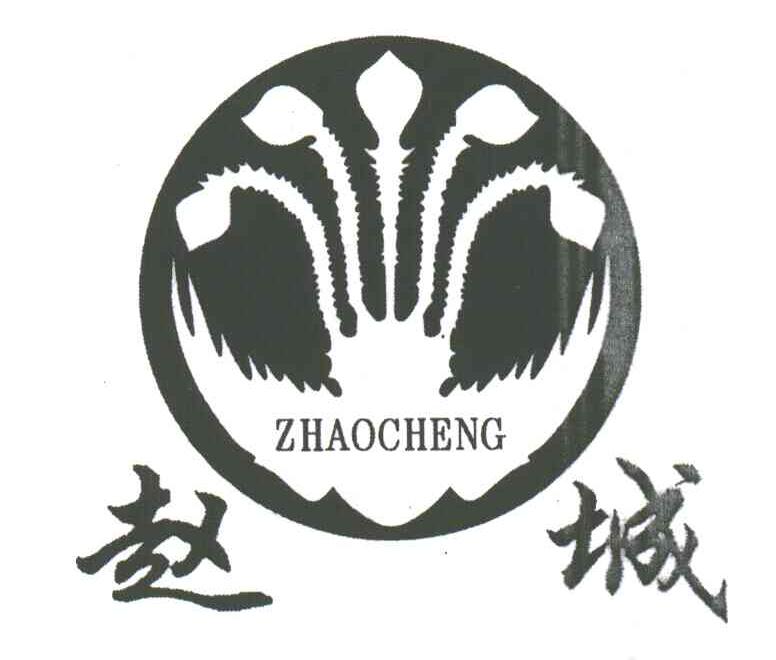赵城